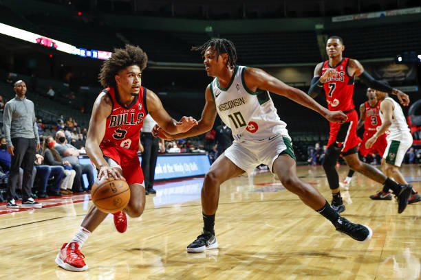 Windy City Bulls Wisconsin Herd